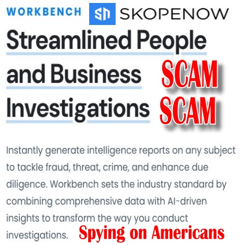 SkopeNow OSINT Flaws: Cyber Security