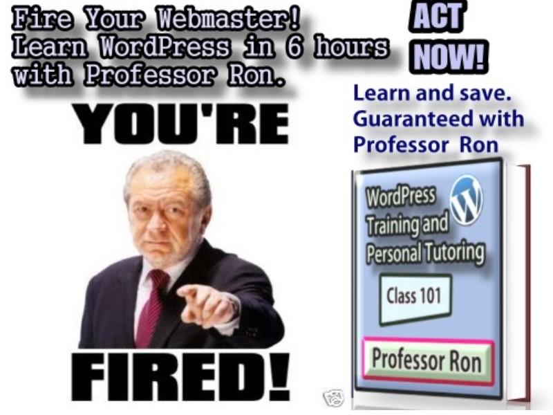 WordPress Training, Website Designs